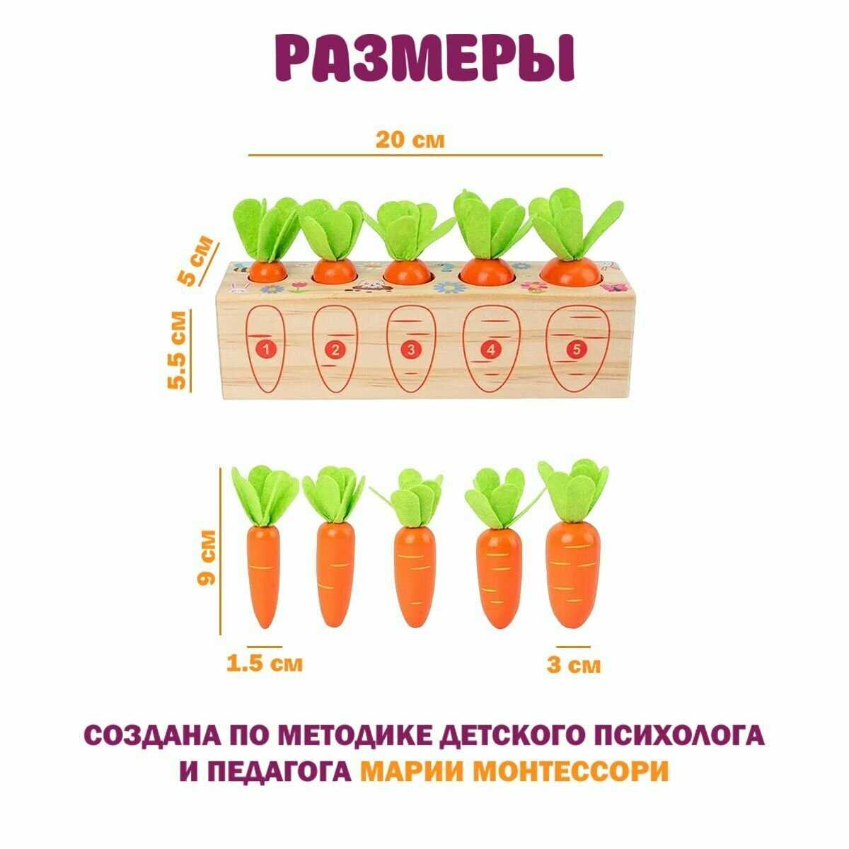 Сортер Монтессори игрушка развивающая Морковки фотография 3
