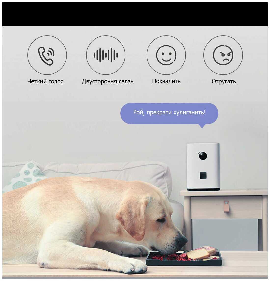 Автокормушка Xiaomi Pawbby Treat Cam Camera Smart Pet Feeder CCTV фотография 3