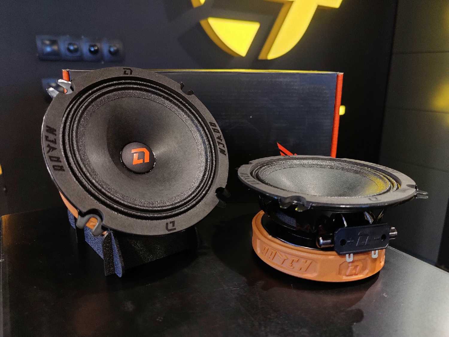 Эстрадная акустика DL AUDIO Raven 130 v2 (13 см) фотография 4