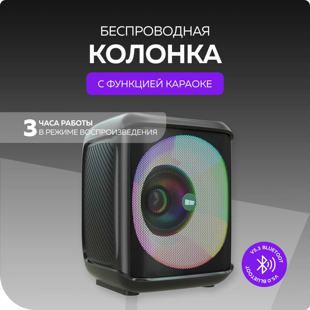 Колонка PURE More Choice BS65