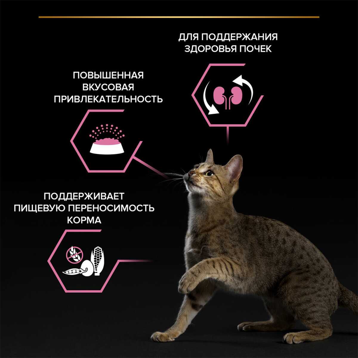 Корм для кошек Pro Plan с ягненком фотография 19