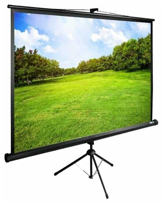 Экран напольный Cactus 150x200см TriExpert CS-PSTE-200х150-BK фотография 1