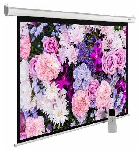 Экран Cactus MotoExpert (CS-PSME-200x150-WT) фотография 4