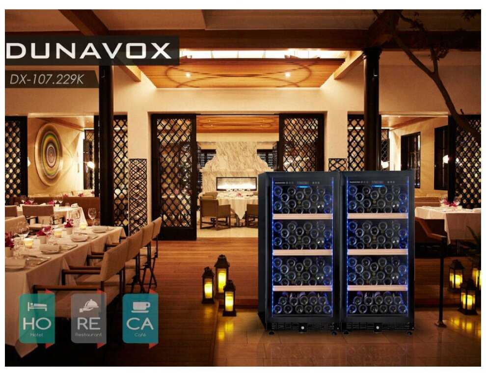 Dunavox DX-107.229K фотография 2