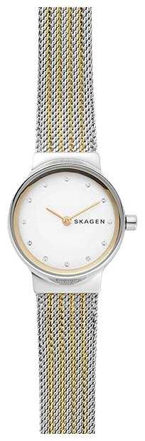Наручные часы SKAGEN SKW2698
