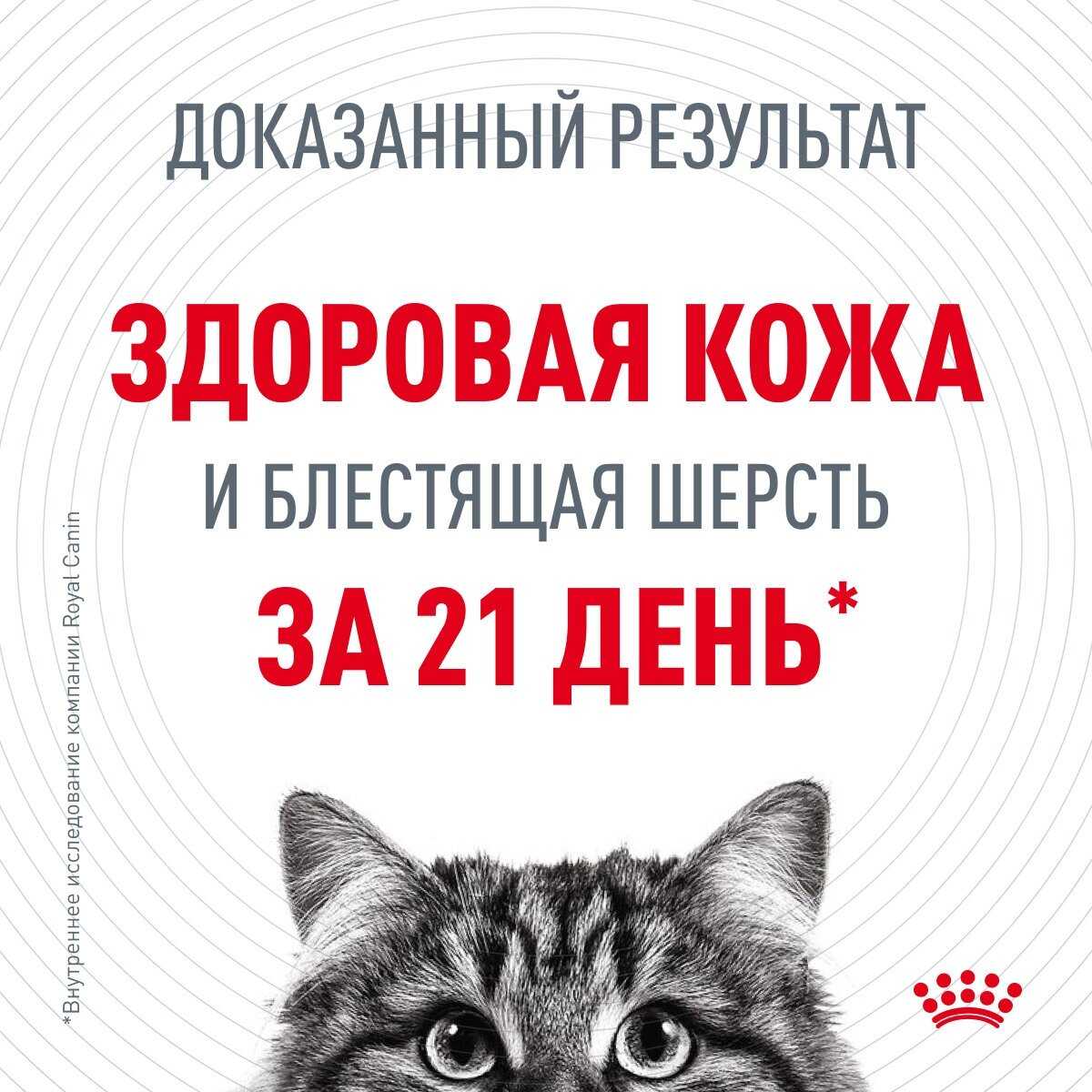 Влажный корм Royal Canin Hair&Skin (85 гр) фотография 3