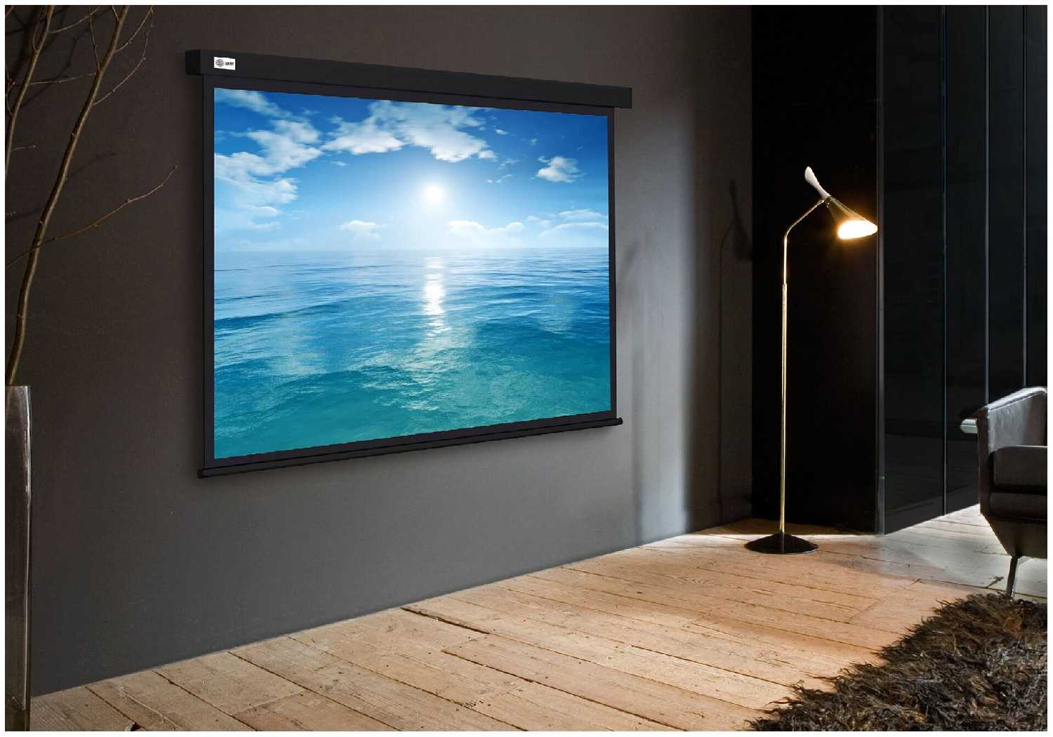 Рулонный cactus Wallscreen (CS-PSW-104X186-BK) фотография 4