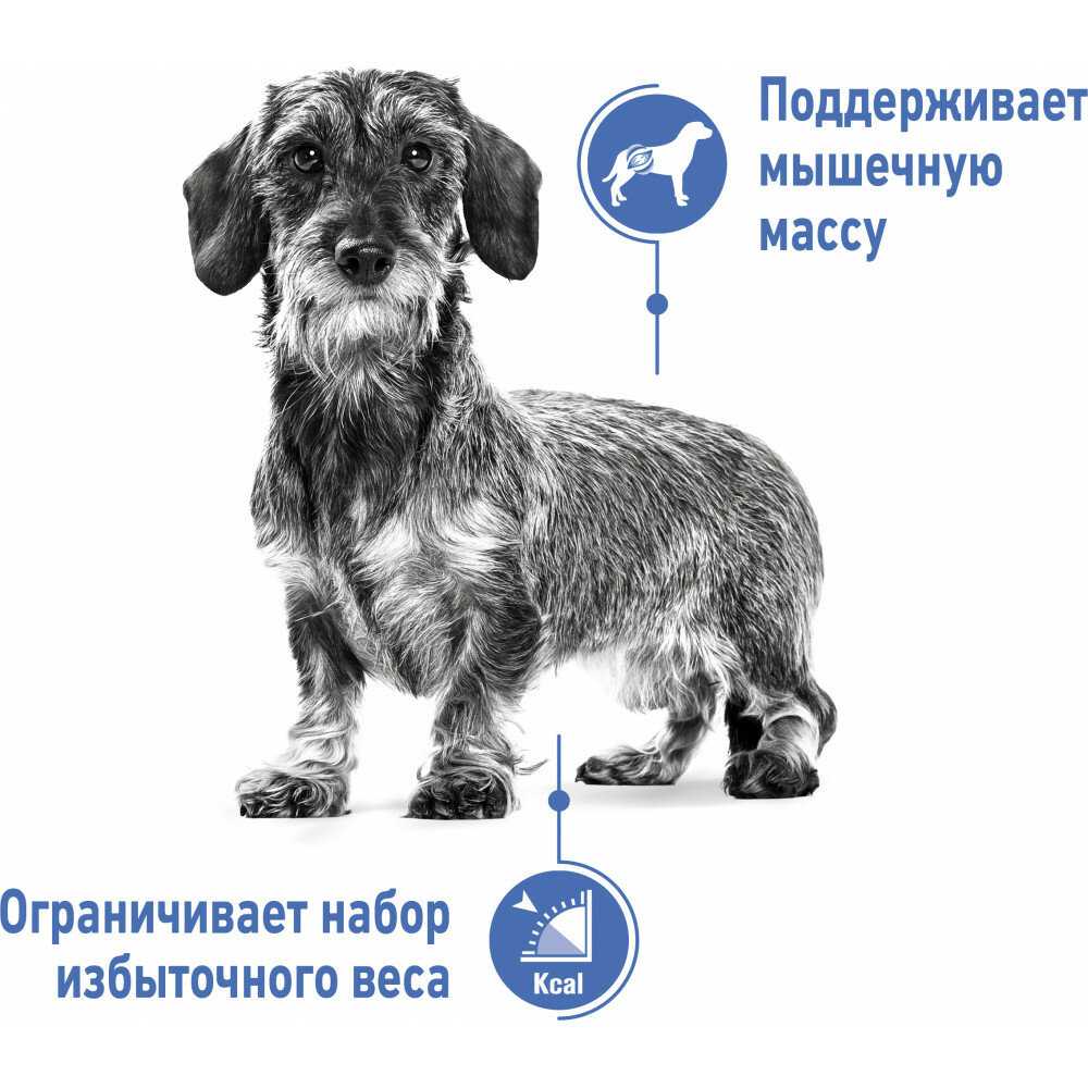 Корм для собак Royal Canin Mini Light Weight Care фотография 11