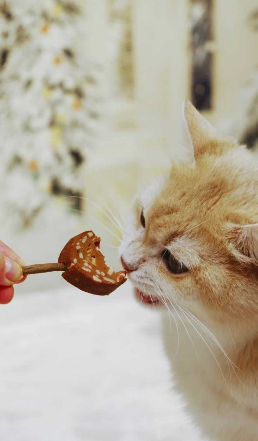 Лакомство для кошек Japan Premium Pet Тунцовая карамелька на палочке с крабом фотография 12