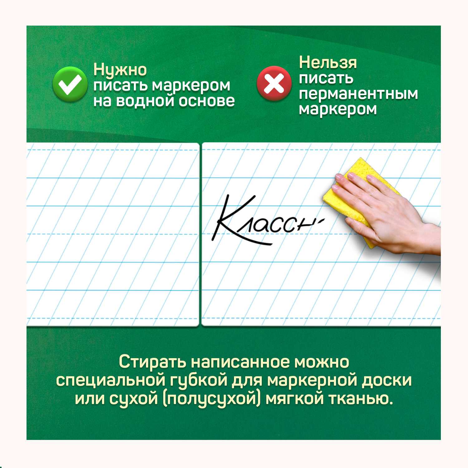 Разлиновка магнитная для школьной доски фотография 5