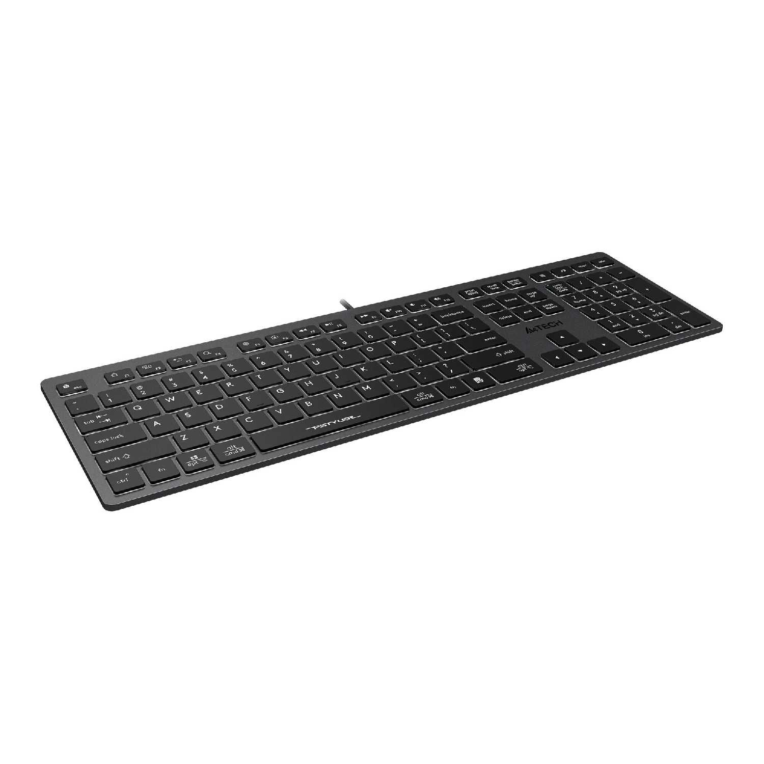 Клавиатура A4Tech Fstyler FX60H фотография 27