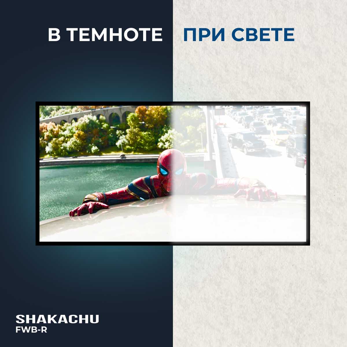 Складной экран для проектора Shakachu FWB100R (100