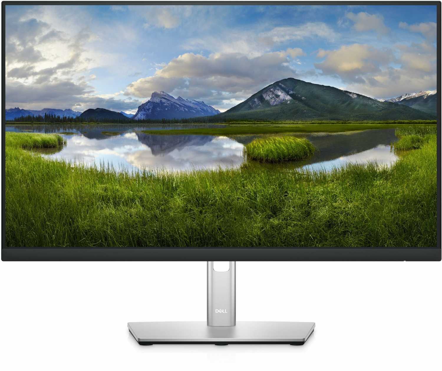 Монитор DELL P2422HE (2422-5205) фотография 15