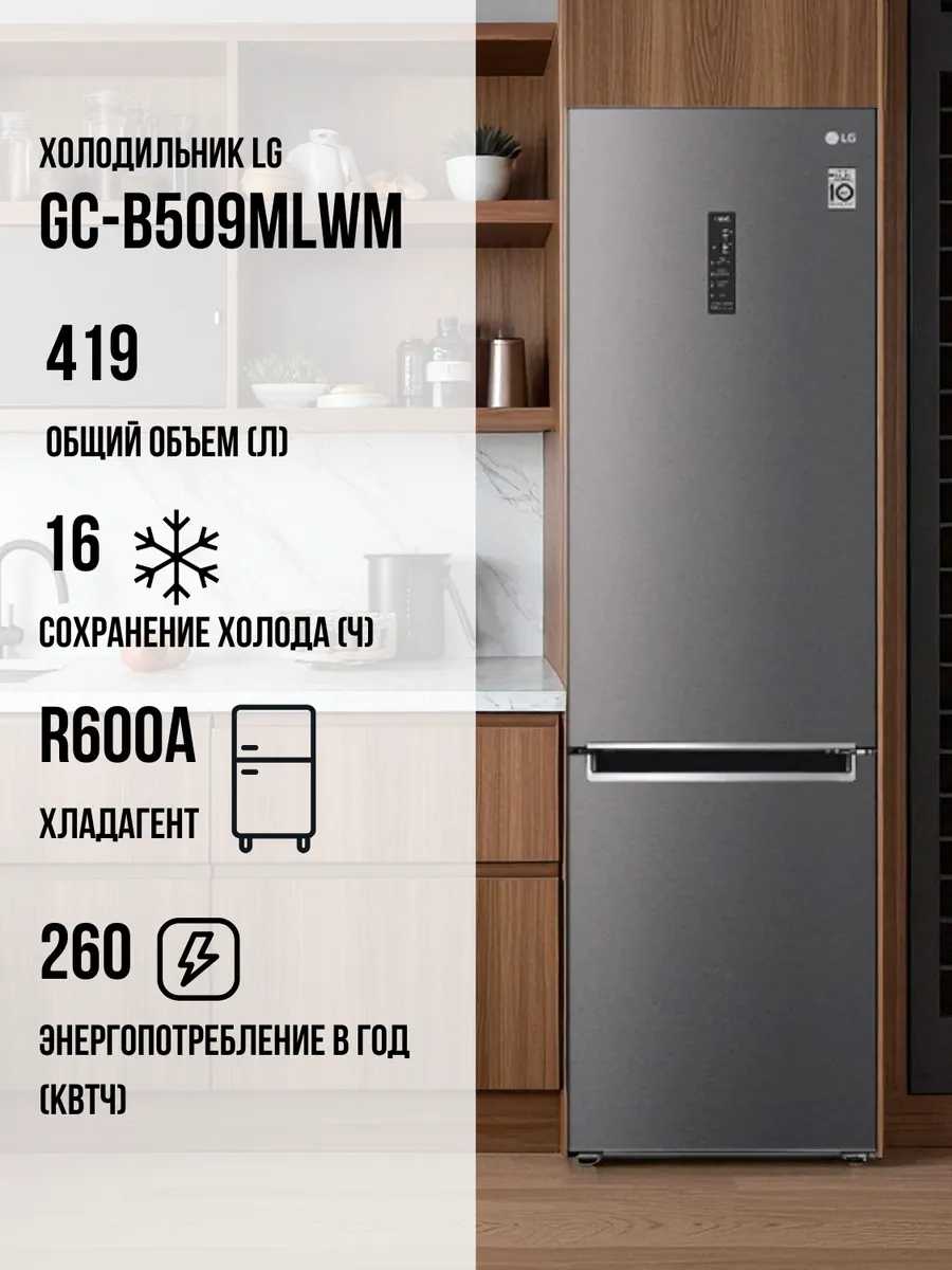 Холодильник LG GC-B509MLWM