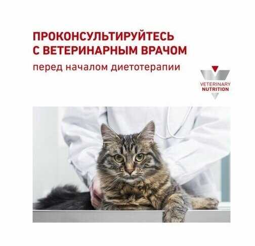 Корм для кошек Royal Canin для поддержания здоровья мочевыделительной системы фотография 3
