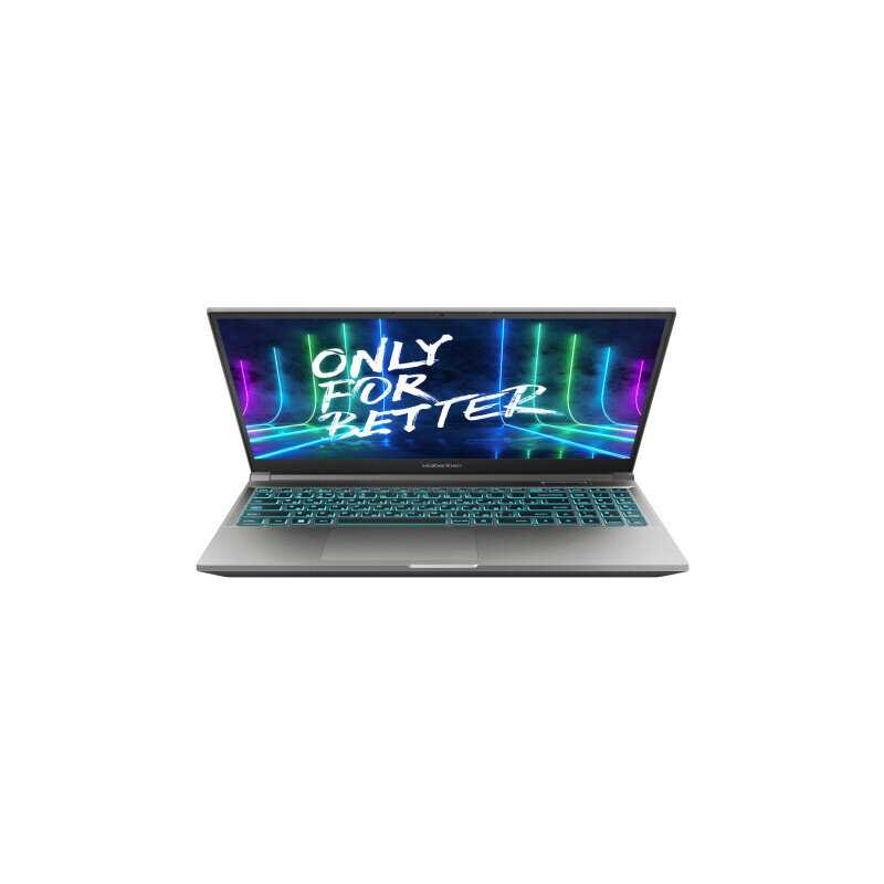 Ноутбук Maibenben X15B-R78846 (X15B-R78846GQSLBRE0) фотография 18