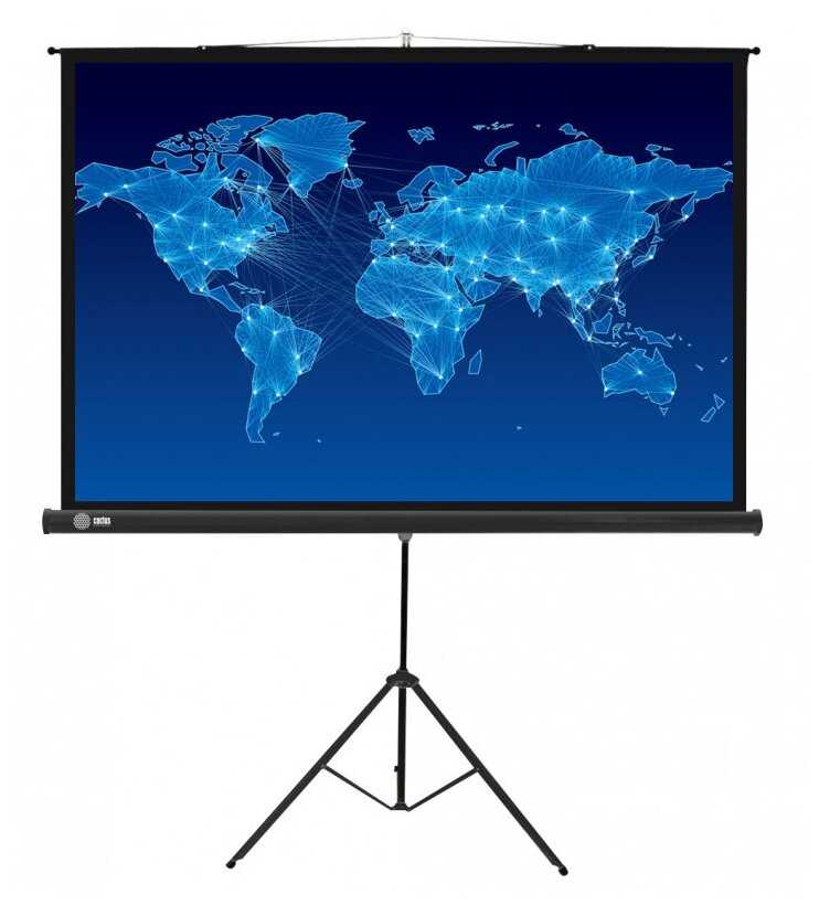 Рулонный cactus Triscreen (CS-PST-150x150) фотография 2