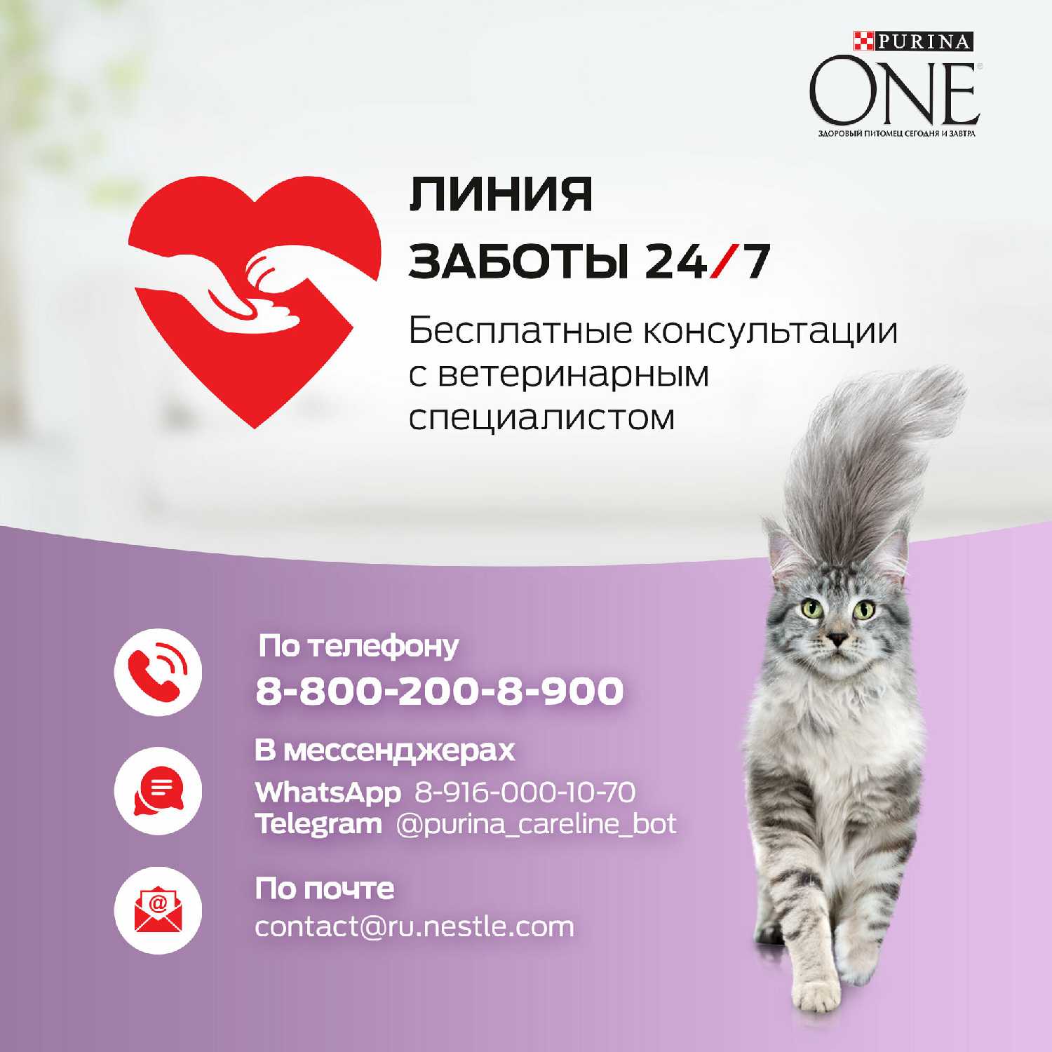 Сухой корм Purina One с уткой и печенью фотография 19