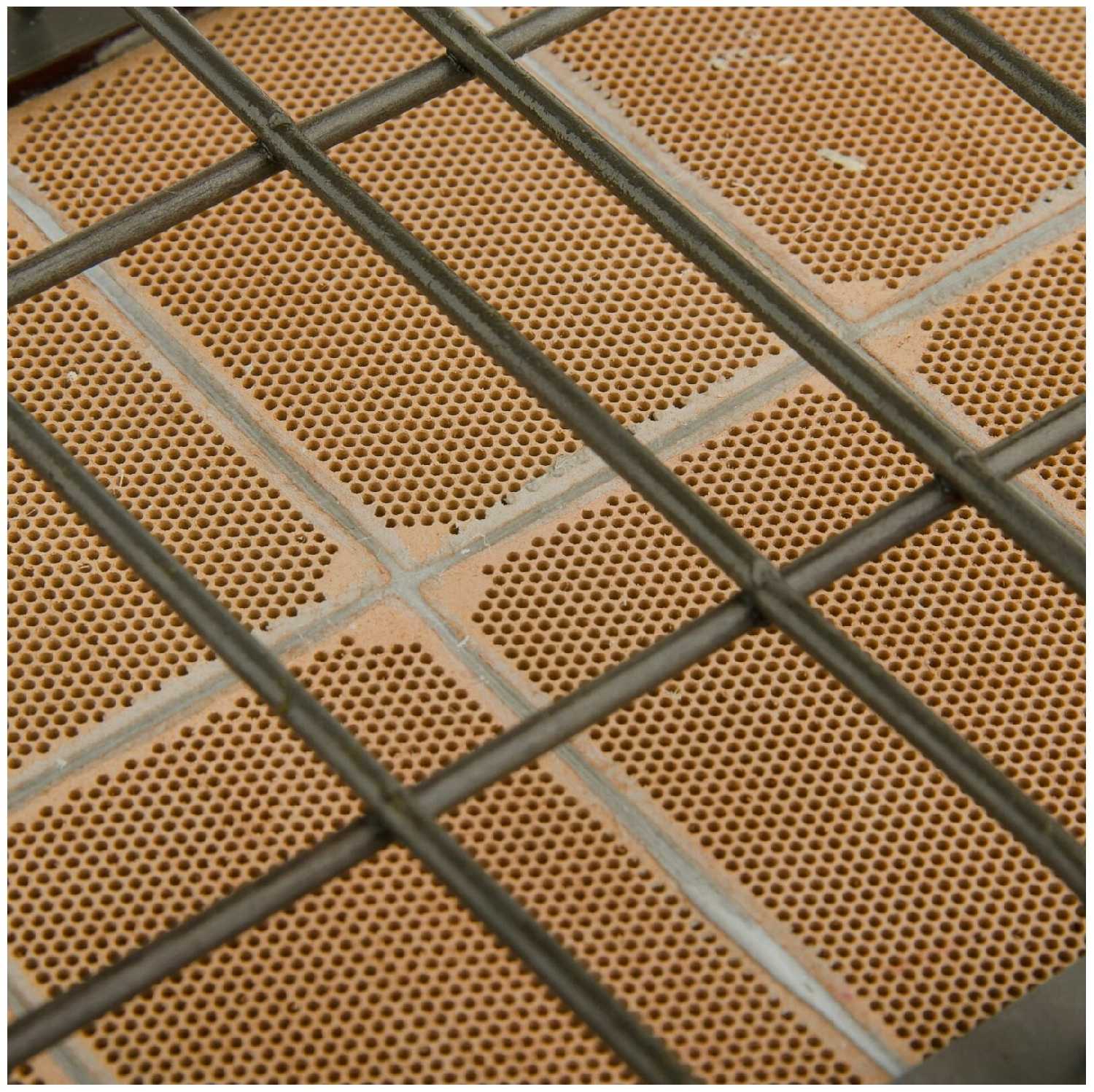 Юза Сибирячка (Г.И.И-3,65) фотография 1