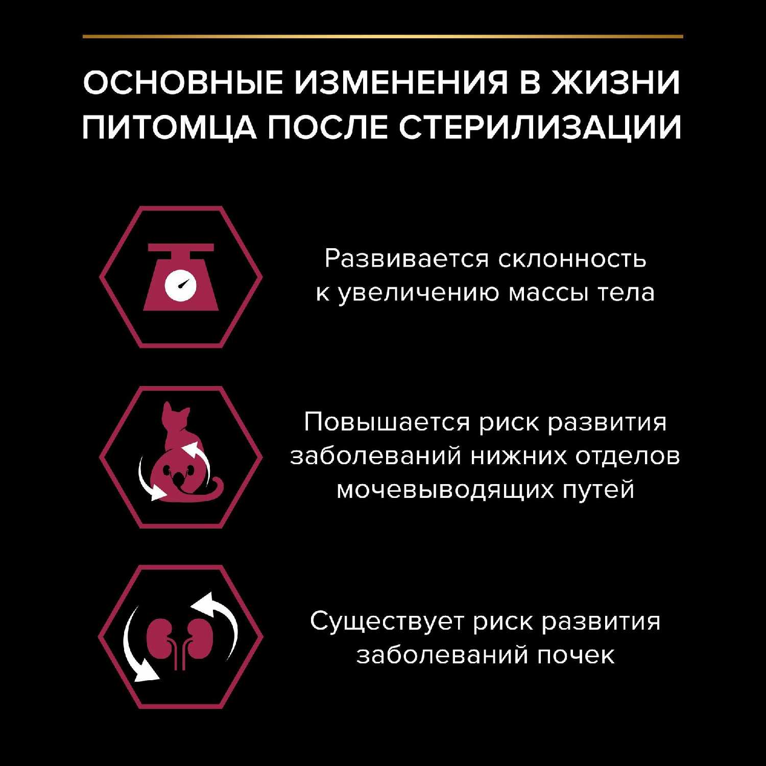 Корм Pro Plan с кроликом фотография 5