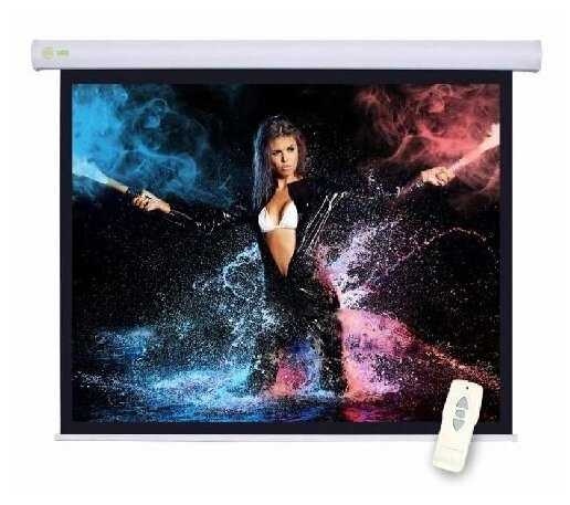 Рулонный cactus Motoscreen (CS-PSM-124x221) фотография 8