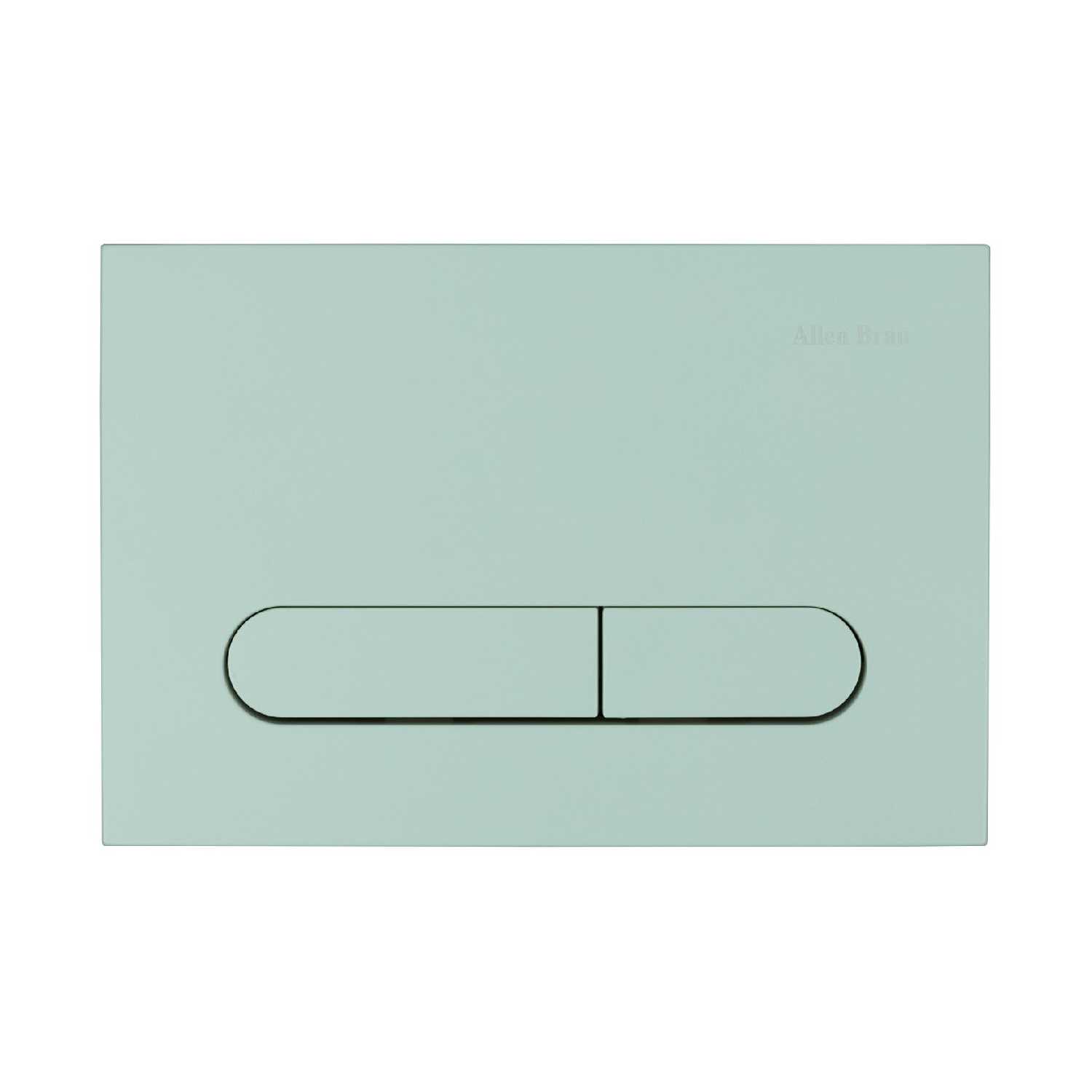 Кнопка смыва для инсталляции Allen Brau Project Color (9.2PR01) фотография 33