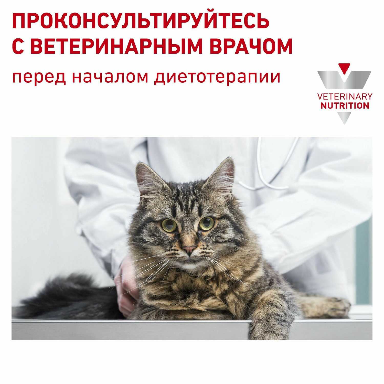 Сухой корм Royal Canin Renal Feline фотография 7