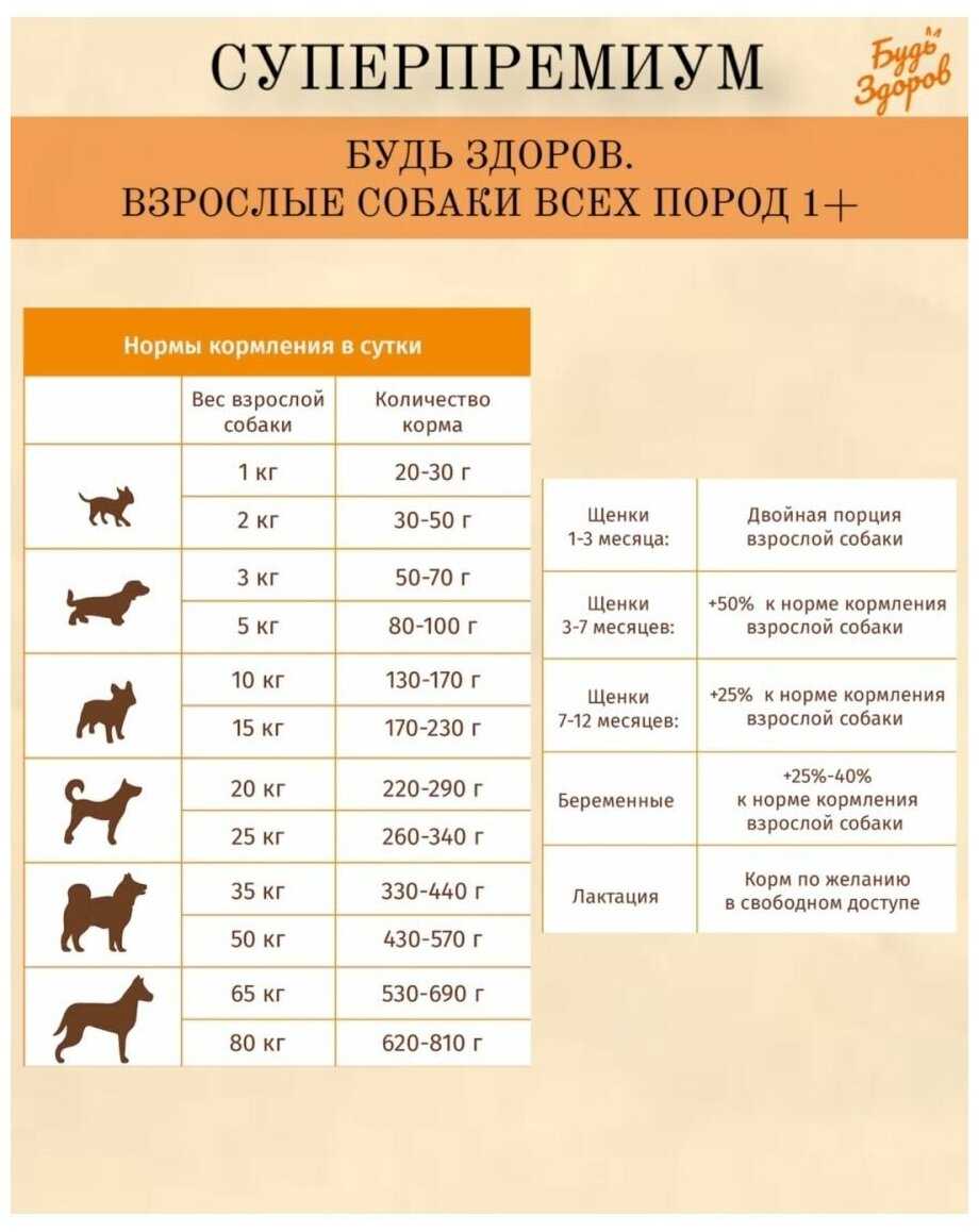 Корм для взрослых собак Живая сила Будь Здоров (с ягненком) фотография 15