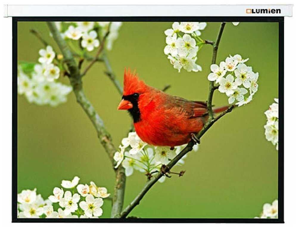 Рулонный Lumien Master Picture (LMP-100108) фотография 18