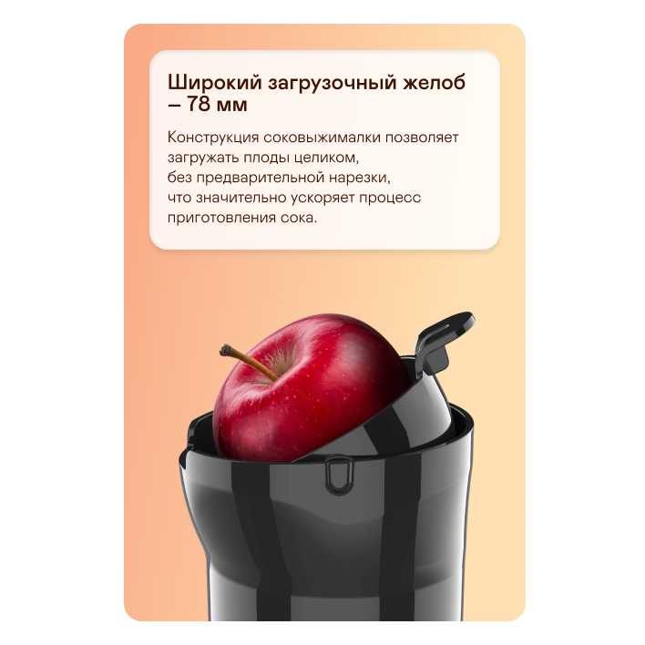 Шнековая соковыжималка Garlyn J-300 фотография 3