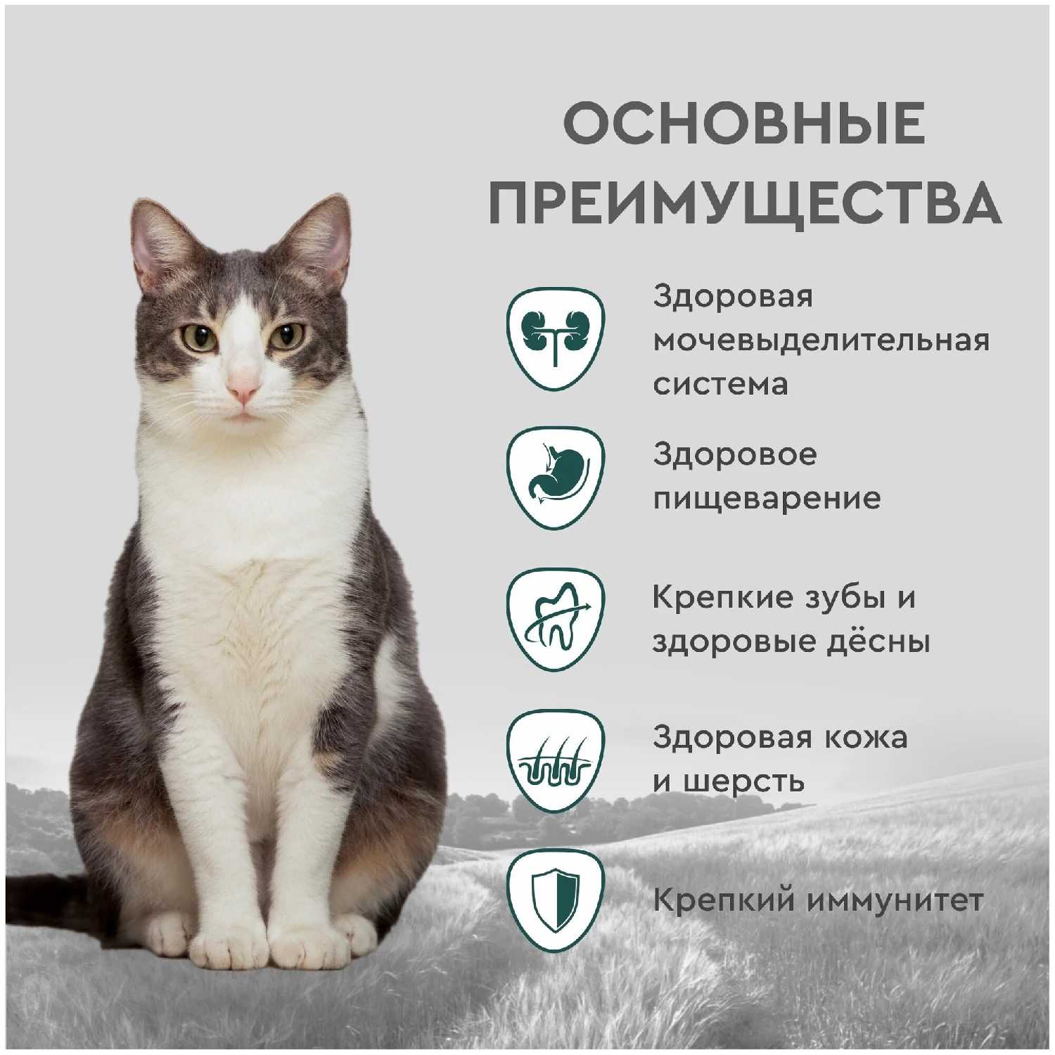 Корм для кошек Secret for Pets цыпленок, с рисом фотография 17
