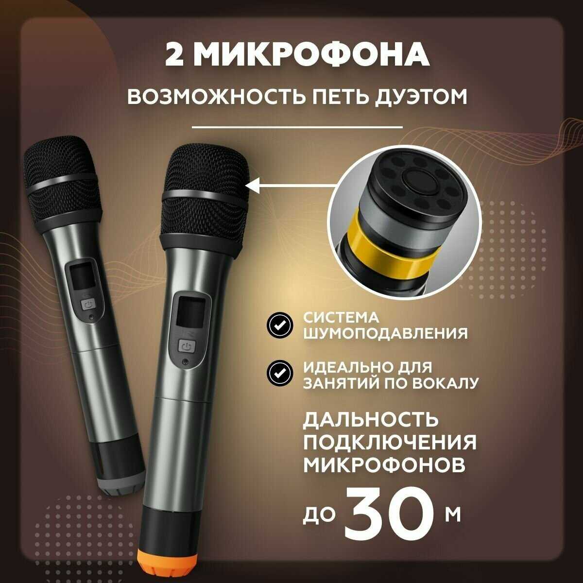 Караоке система для дома/телевизора с двумя беспроводными микрофонами, портативной блютуз колонкой фотография 3