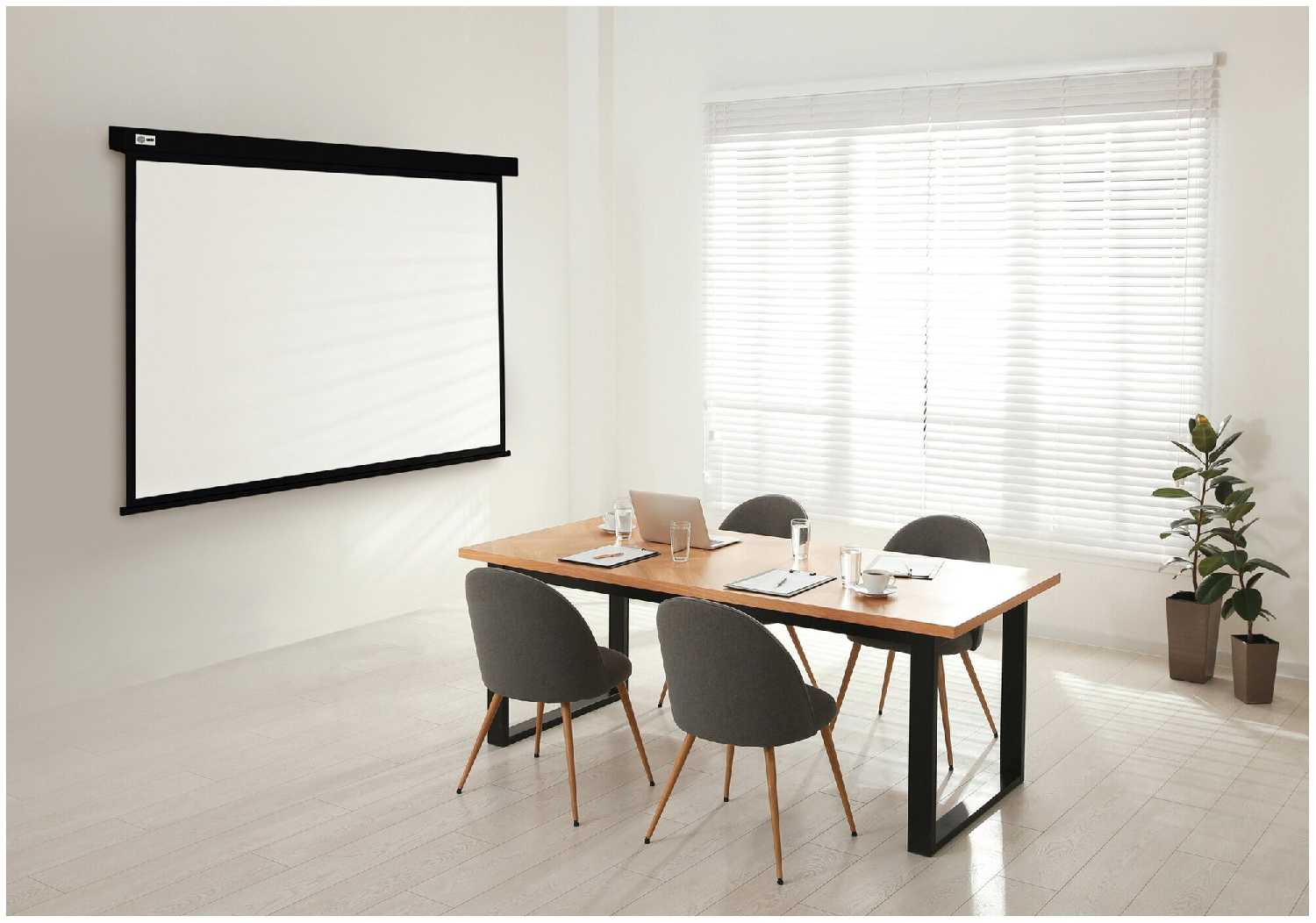 Рулонный cactus Wallscreen (CS-PSW-128x170) фотография 14