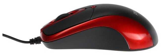 ORION фотография 10