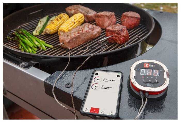 Термометр со щупом Weber iGrill 2 7221 фотография 5