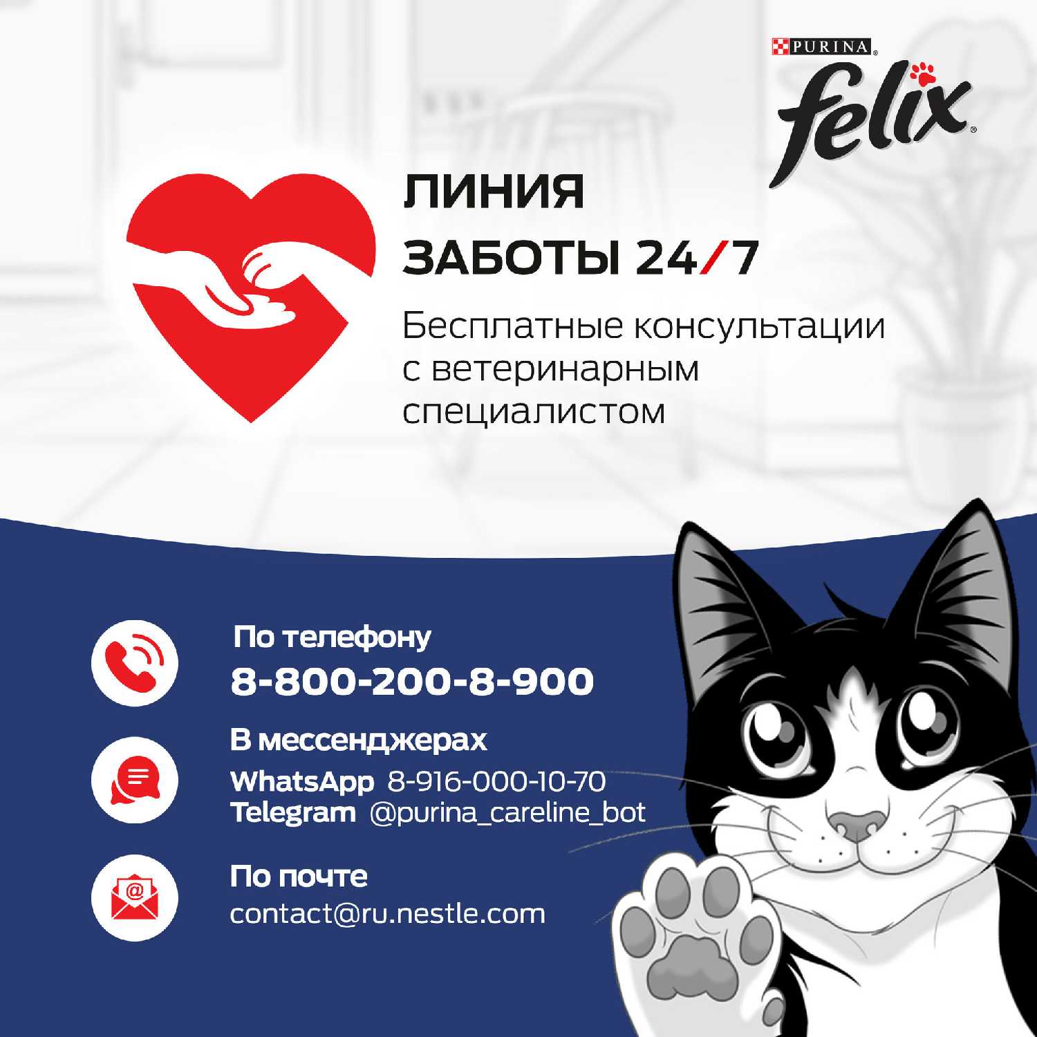 Корм для взрослых кошек Felix Аппетитные кусочки фотография 10