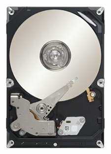 Жесткий диск Seagate 500 ГБ ST3500312CS
