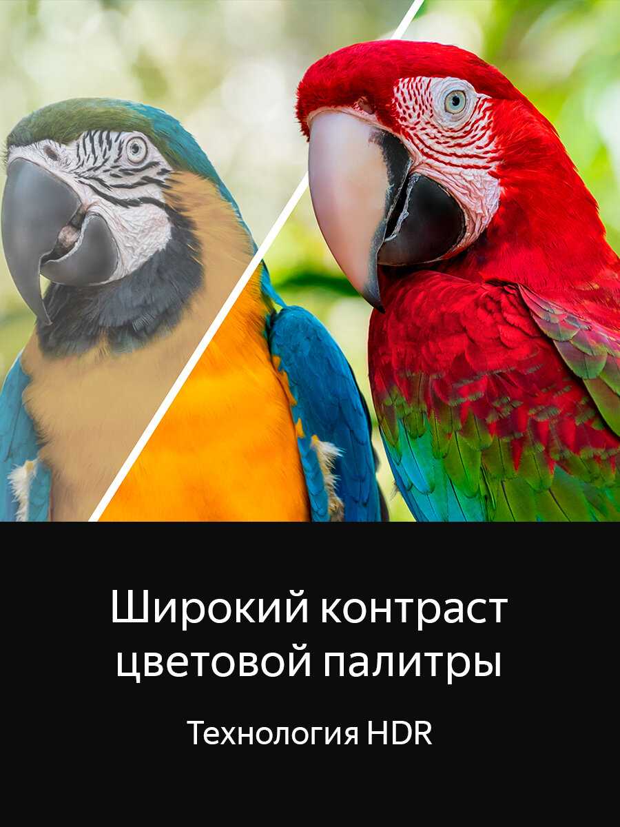 Телевизор Topdevice 43