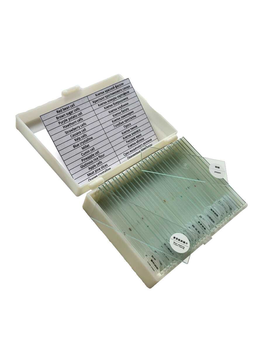 Биологический учебный лабораторный микроскоп DigiMicro Erudit (40-5000x) фотография 13