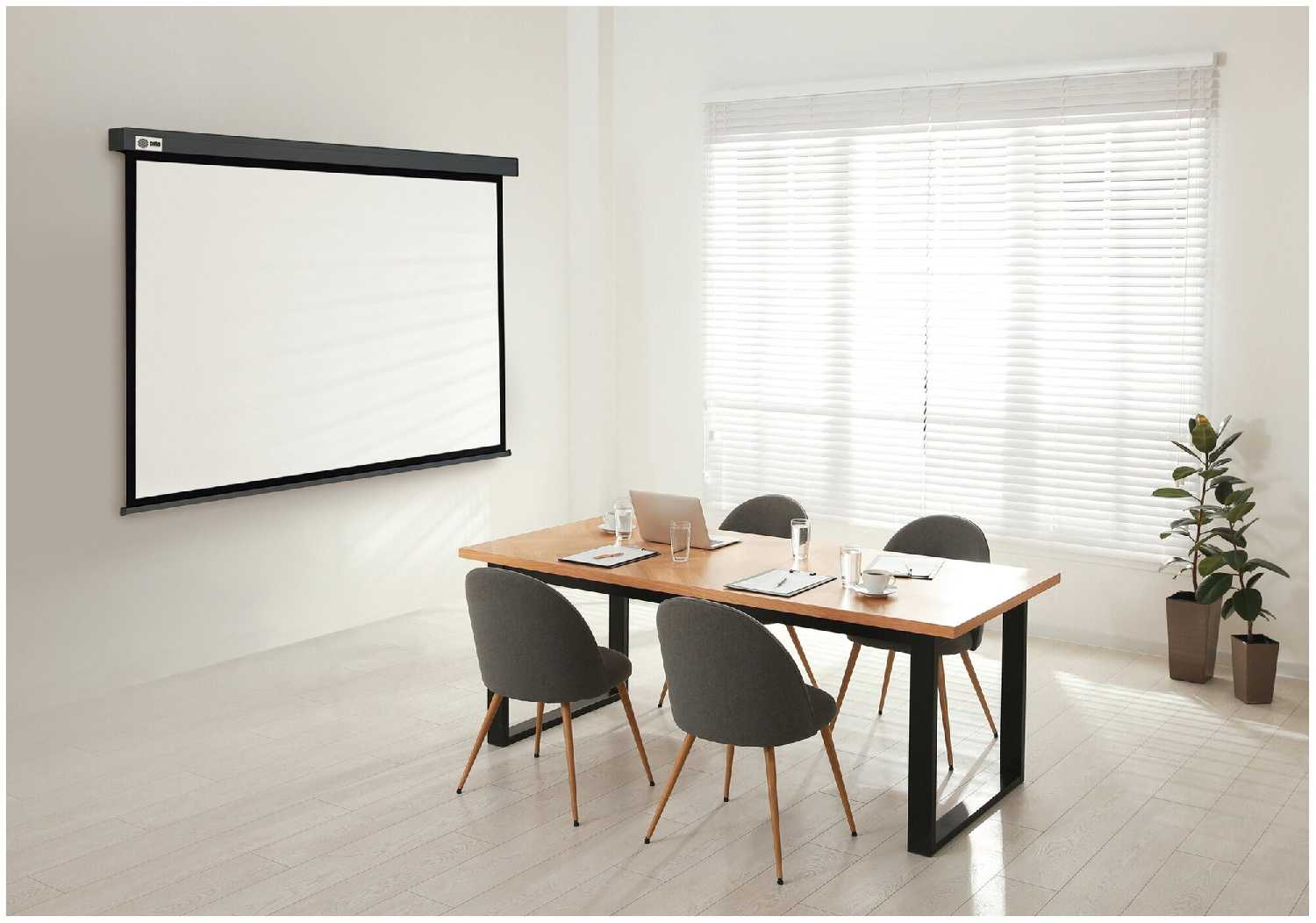 Рулонный cactus Wallscreen (CS-PSW-183X244-SG) фотография 3