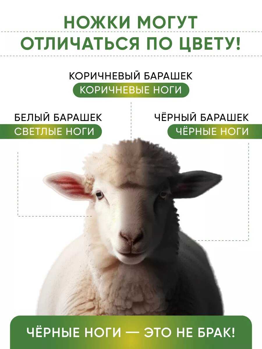 Кости для собак Баранья ножка фотография 11