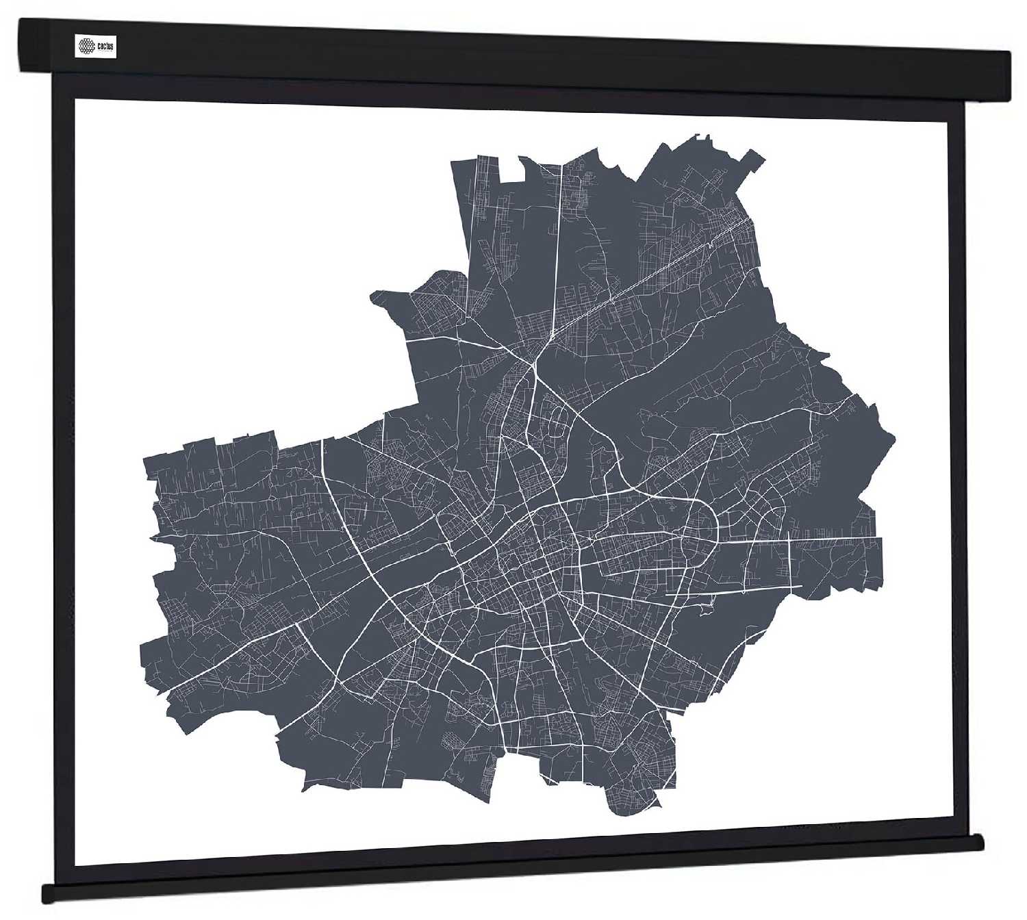 Рулонный cactus Wallscreen (CS-PSW-152X203-BK)