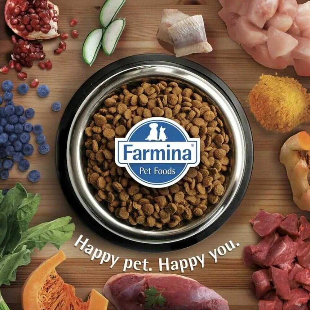 Корм для собак Farmina Vet Life Obesity фотография 4