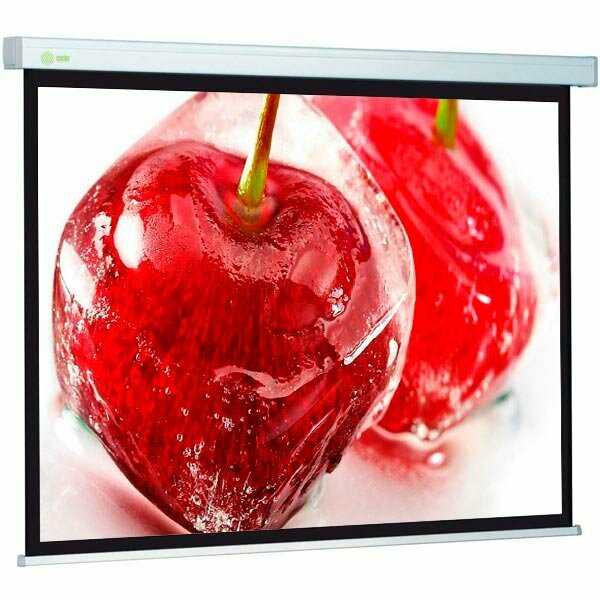 Рулонный cactus Wallscreen (CS-PSW-168x299) фотография 8