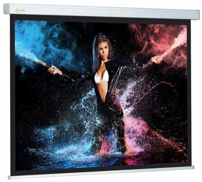 Рулонный cactus Wallscreen (CS-PSW-180X180-SG) фотография 5