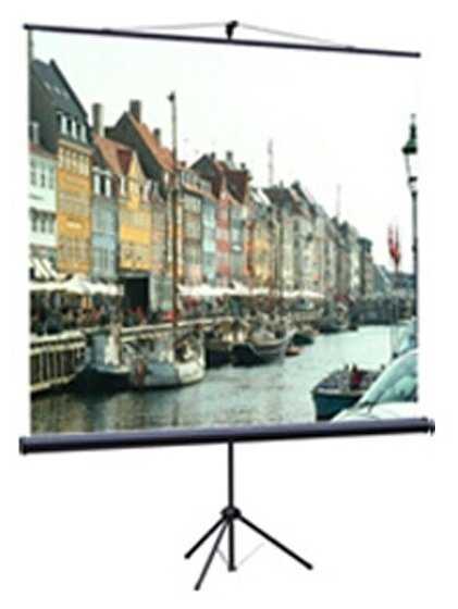 Экран Classic Solution Libra (T 180x180/1 MW-LS/B) фотография 1