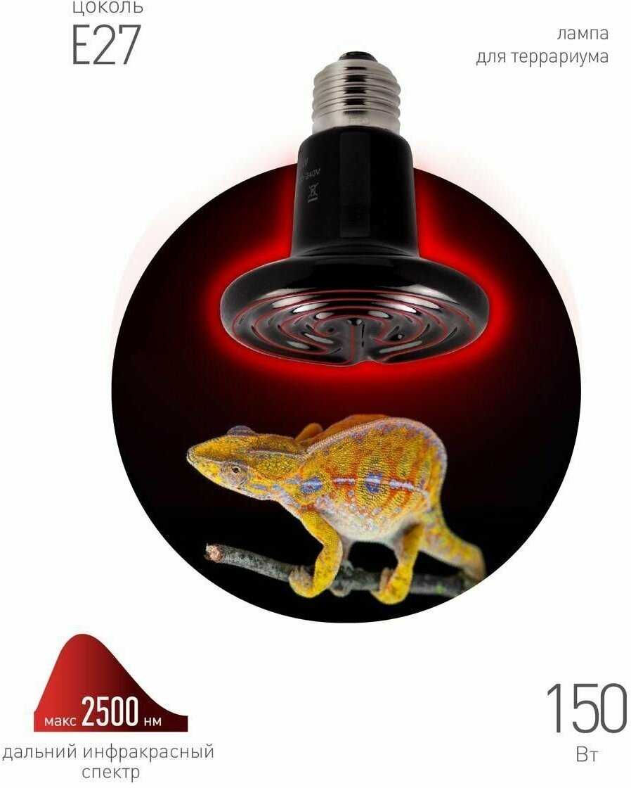 Инфракрасная лампа ЭРА FITO-150W-НQ (150Вт) фотография 9