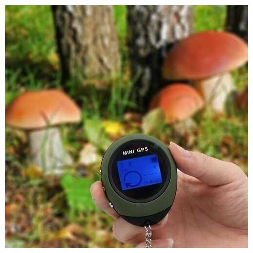 Электронный GPS компас EGP фотография 14