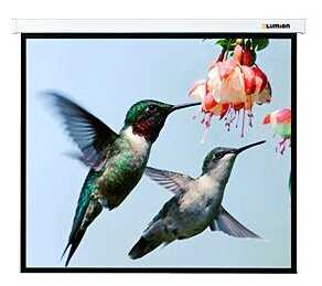 Рулонный Lumien Master Control (LMC-100102) фотография 4