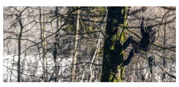 Пила аккумуляторная Greenworks GD40TCS шаг цепи 3/8